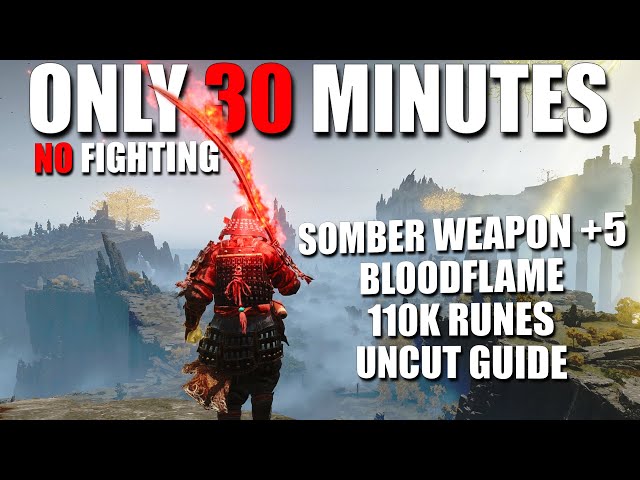 Get a Very Strong Build in 30 Minutes only - Beginner Guide - Elden Ring