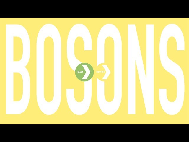 What are BOSONS? | Particle Physics 101 PART 4