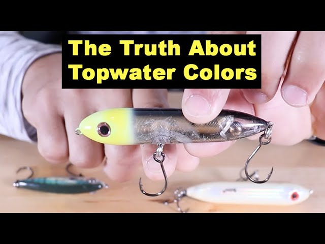 Does Topwater Lure Color Actually Matter?
