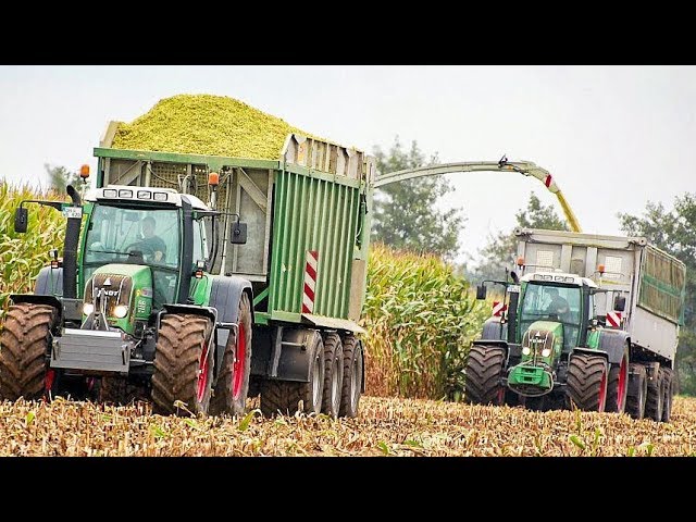 Maize Silage | Claas Jaguar 980 & Krone BiG X forage harvesters | Fendt tractors