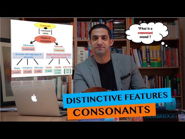 Distinctive Features of Consonant Sounds