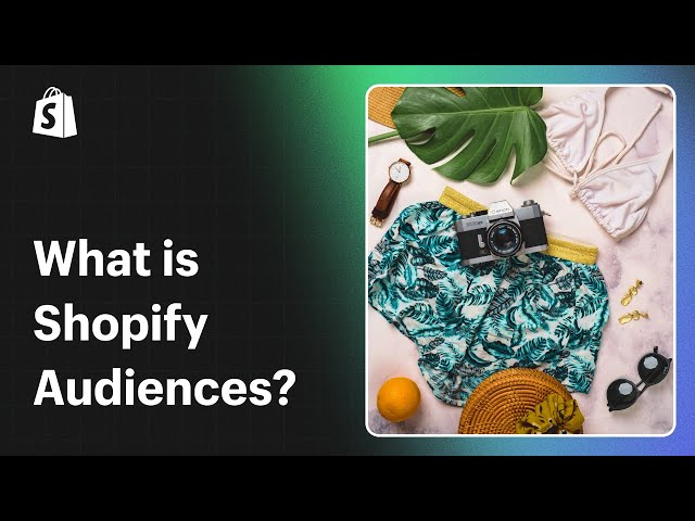 What is Shopify Audiences?