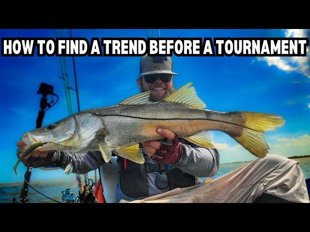 How To Dial In On Trends The Day Before A Fishing Tournament