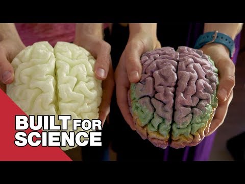 I Got To See And Hold My Brain