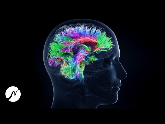Activate 100% Brain Potential - Genius Brain Frequency - Beta Waves (Brainwaves)