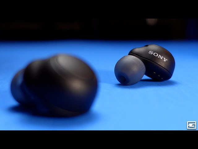 Sony's NEW $100 Earbuds! : WF-C500