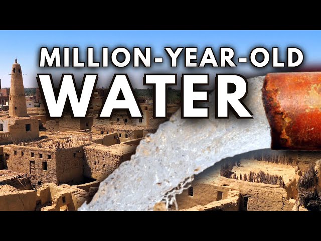 Ancient Water: Permaculture in Egypt