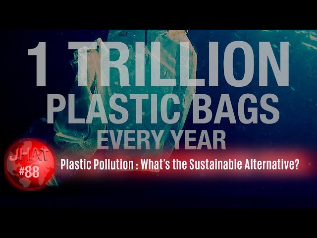 Plastic Pollution :  What are the sustainable alternatives?