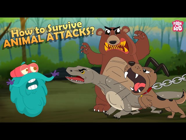 How to Survive Animal Attacks - Bear, Dog, Shark, Komodo Dragon & Giant Squid | The Dr. Binocs Show