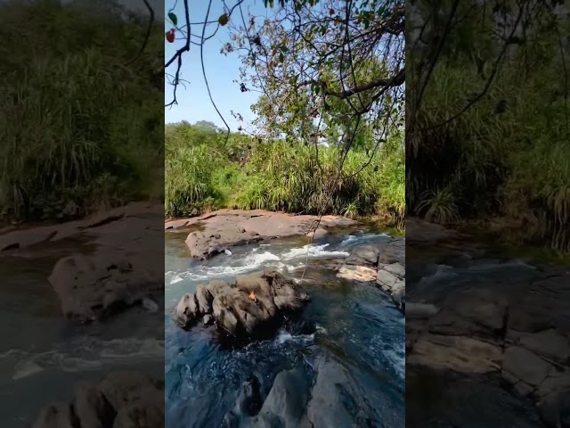 Untouched beauty of sanguem goa | Unexplored goa | sanguem river | south goa | goa vlog | #shorts