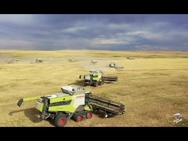 BIG TIME Colorado Wheat Harvest  12 Claas Lexion Combines
