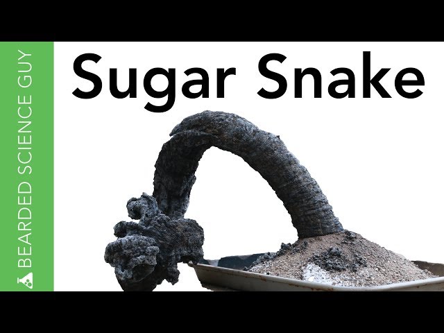 Carbon Sugar Snake Experiment (Chemistry)