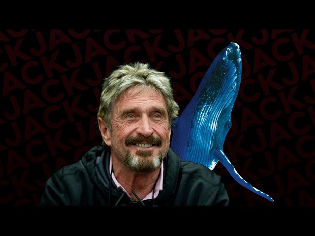 The Official Podcast #154 With John McAfee