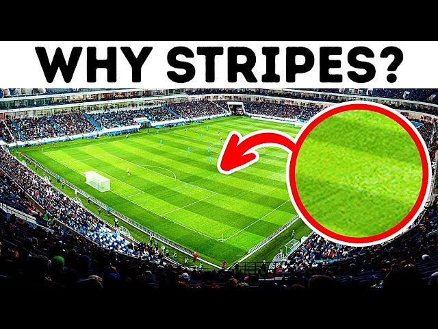 Why Football Fields Have Stripes + 15 Interesting Footbal Facts