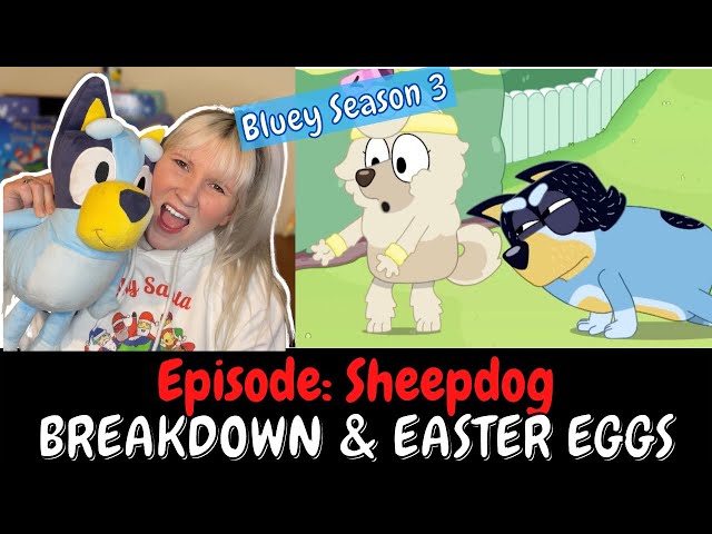 Bluey Season 3 BREAKDOWN and EASTER EGGS: Episode 11 SHEEPDOG Review #bluey