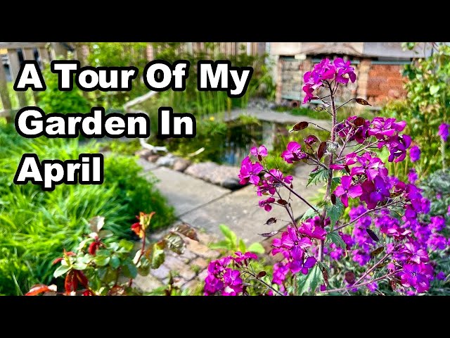My Wildlife Front Garden Tour - April