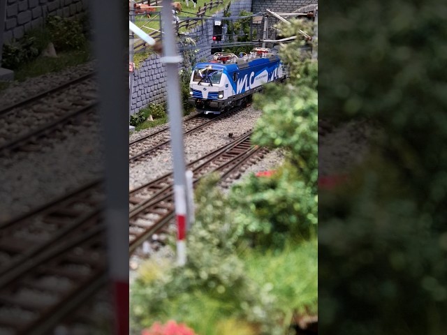 H0 Modelleisenbahn - gemischter Güterzug mit WLC Vectron
