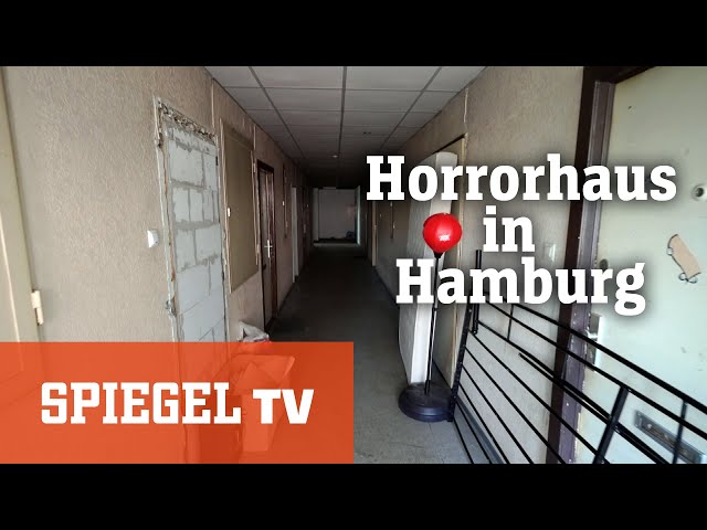 Horror-Haus in Hamburg: Leben zwischen Schimmel und Dreck | SPIEGEL TV