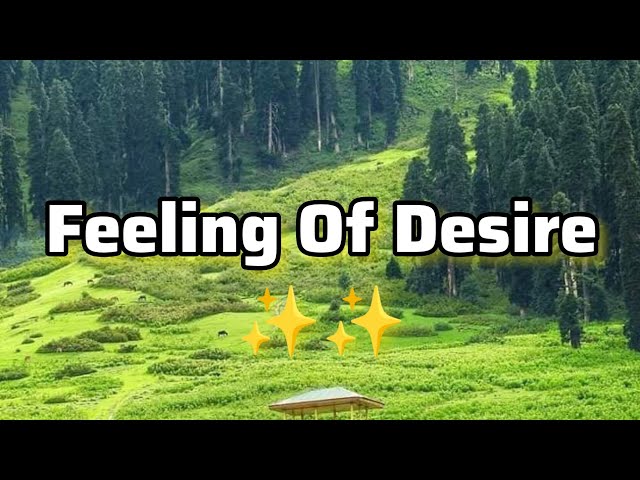 Feeling Of Desire | Dubai Crown Prince Crown Prince Dubai Fazza Poems