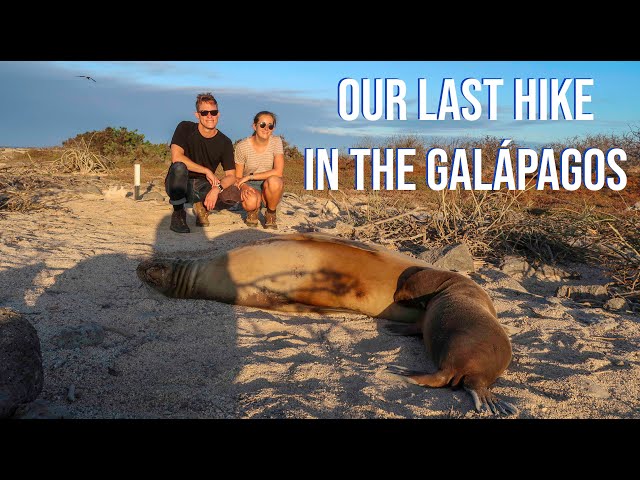 World’s Most Ecological Airport | Galápagos LUXURY Cruise Day 8