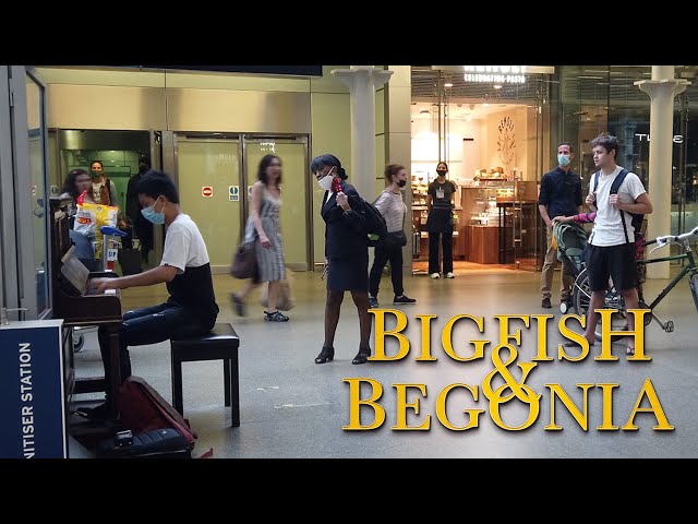 Using a Public Piano to Catch Big Fish at a Train Station 《大鱼》钢琴曲 | Cole Lam 14 Years Old