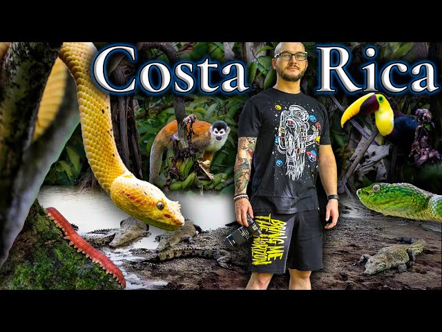 Face To Face With The Most Venomous Snake In Costa Rica | @MikeTytula Takes a Bullet in The Jungle!