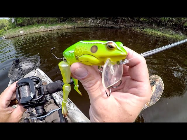 Fishing With Freddy The Frog!