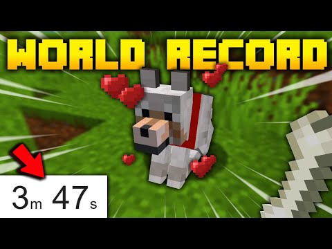 Setting NEW Speedrunning "World Records" in Minecraft!