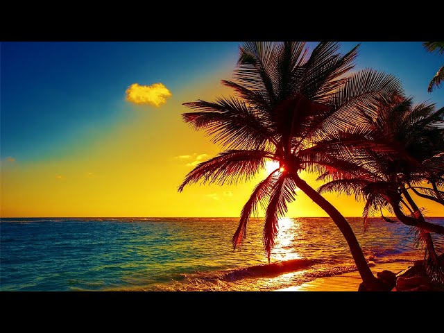 Beautiful Relaxing Peaceful Music, Calm Music 24/7, "Tropical Shores" By Healing Soul
