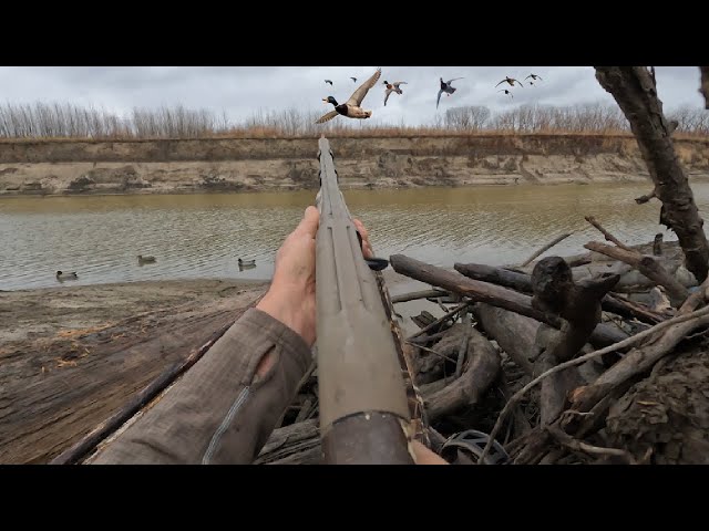 I Found the Mother Load of Mallards On the River! Such a Unique Hunt! (MUST SEE)