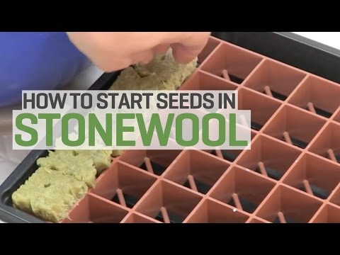 PROPAGATION (Seeds and Cuttings)