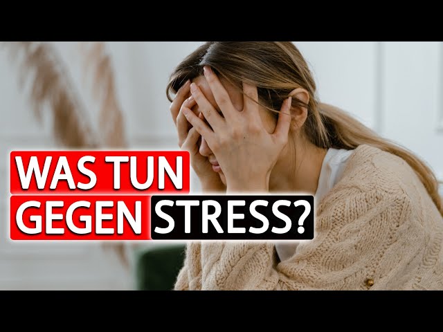 Stress abbauen! Die wirksamsten Methoden | Dr. Spitzbart - Teil 3