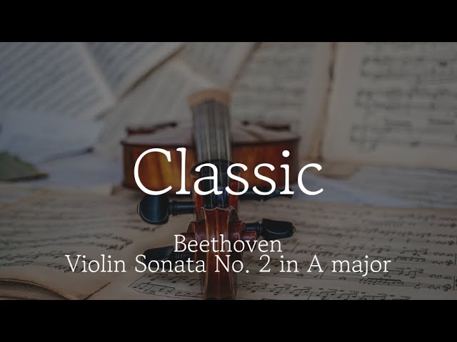 [Playlist] Beethoven - Violin Sonata No.2 in A major | Classic playlist