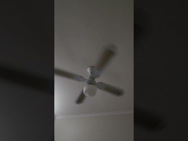 reef breeze ceiling fan