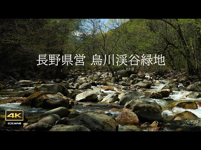 4K + Natural sounds [revival version] Karasugawa Valley Green Area / Sound of Karasugawa