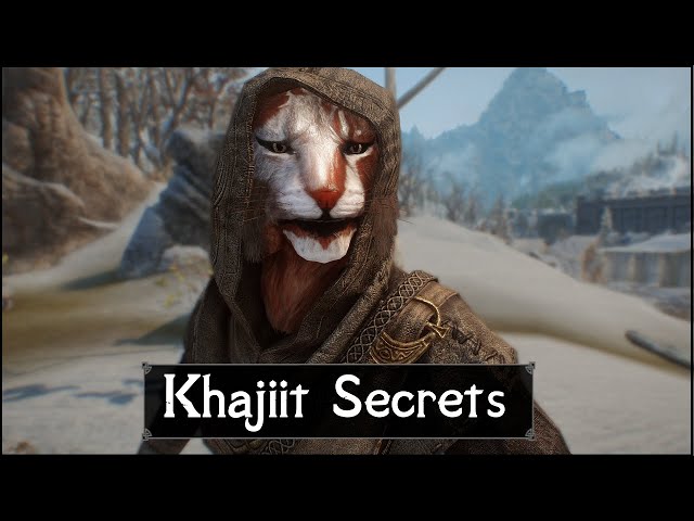 Skyrim: 5 Things They Never Told You About The Khajiits