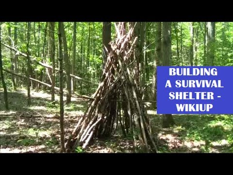 Building a Survival Shelter (Wikiup)
