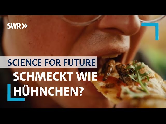Algen & Insekten: unser Essen in der Zukunft? | Science for Future mit Jacob Beautemps | SWR Wissen