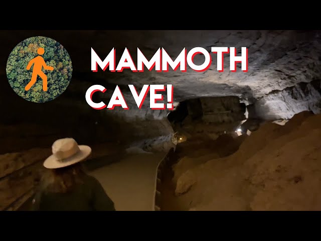 Mammoth Cave National Park - Gothic Avenue Full Virtual Tour - 4K