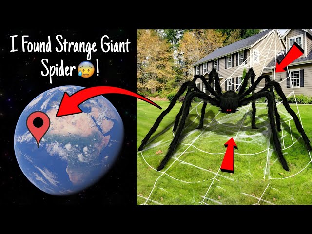 Found Strange Giant Spider In Real Life On Google Maps And Google Earth 😰!