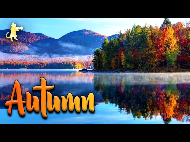 Autumn! 🍁🍂 AMAZING Nature Scenery & Relaxing Music for Stress Relief.