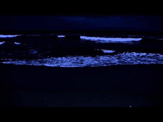 Cool night beach, rolling waves are so refreshing   ASMR relaxing sounds.