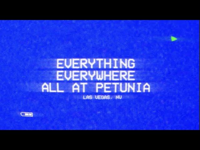 The Warning - Everything, Everywhere, All at Petunia