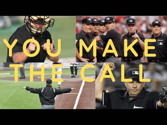 You make the Call !    |  So you wanna be an Umpire one day?