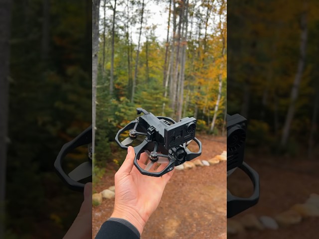 Cabin in the woods FPV tour #fpv  #fall #cabin