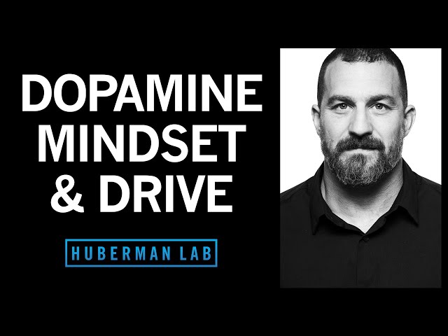 Controlling Your Dopamine For Motivation, Focus & Satisfaction