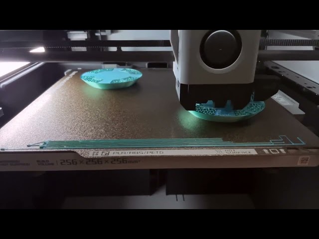 3D printing a pair of Spiral Eggs on my X1C