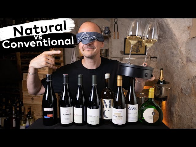 NATURAL vs. CONVENTIONAL WINES - Can a Master taste the difference?