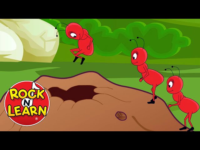 Ants Go Marching Song with Lyrics | Rock 'N Learn