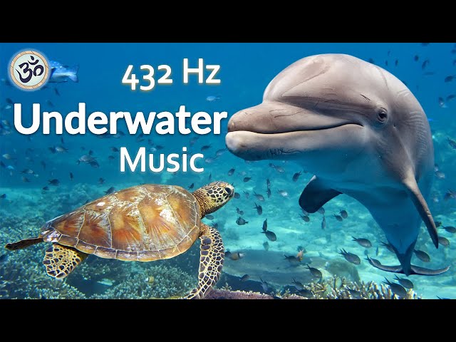 Underwater Music, 432 Hz, Stress Relief, Relaxing Music, Stunning 4K Underwater Footage, Meditation